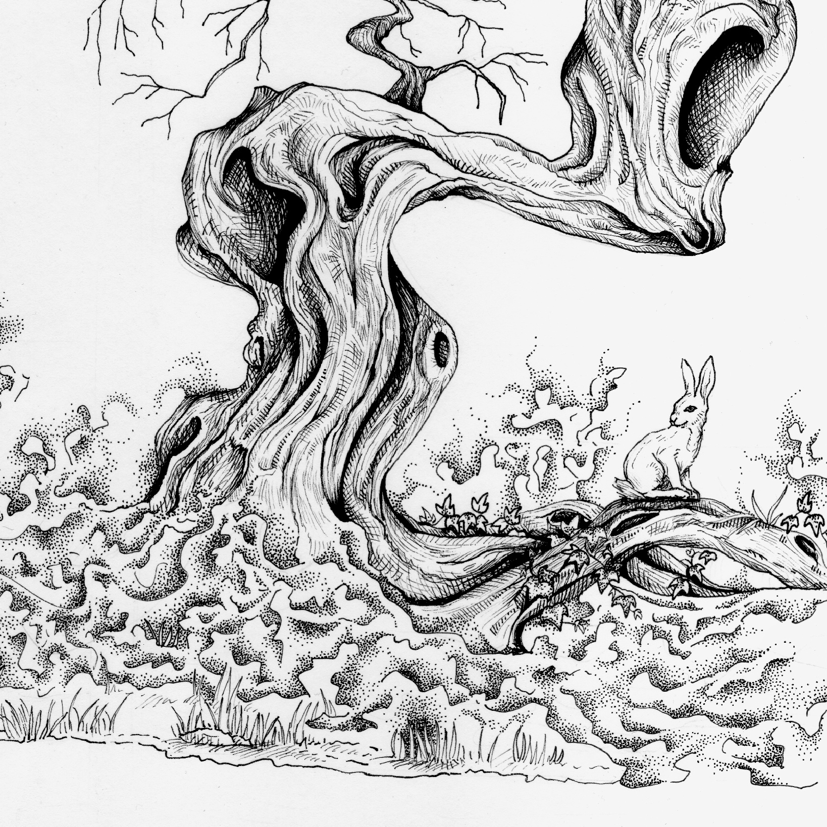 Dessins